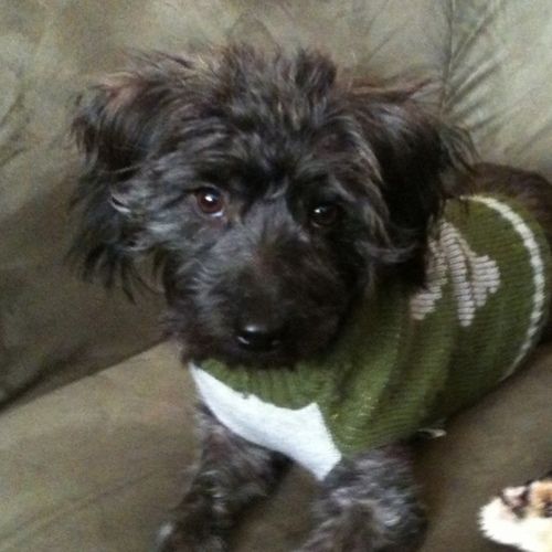 Find Deirdre Elizabeth Tarver Phone Number, Location, Email, and more on Intelius