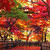 Find Deloris Young Phone Number, Location, Email, and more on Intelius