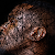 Find Demarcus Demond Smith Phone Number, Location, Email, and more on Intelius
