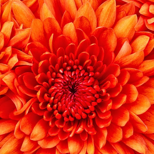 Find Demeeka Montoria Jappa Phone Number, Location, Email, and more on Intelius