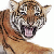 Find Demetrius Deanthony Bowen Phone Number, Location, Email, and more on Intelius