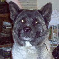 Find Denise M Dupe Phone Number, Location, Email, and more on Intelius