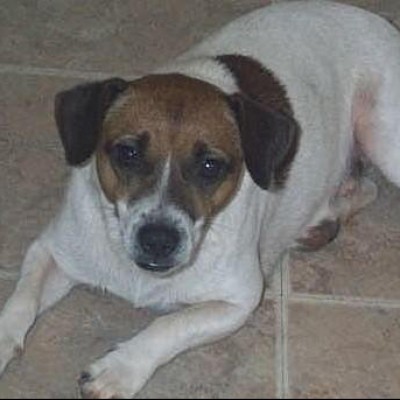 Find Denise Darlene Reed Phone Number, Location, Email, and more on Intelius