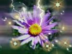 Find Destiny D Hoffman Phone Number, Location, Email, and more on Intelius