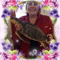 Find Diane Lyn Doherty Phone Number, Location, Email, and more on Intelius