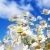 Find Dixie Lee Villa Phone Number, Location, Email, and more on Intelius