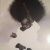Find Donna v Avery Phone Number, Location, Email, and more on Intelius