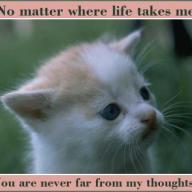 Find Donna Lyn Bennett Phone Number, Location, Email, and more on Intelius
