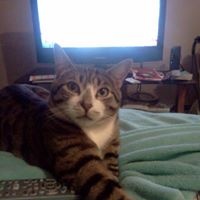 Find Donna A Carey Phone Number, Location, Email, and more on Intelius