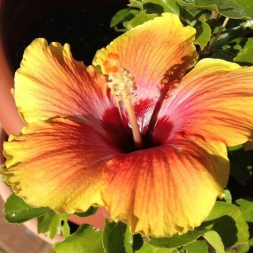 Find Donna L Ernst Phone Number, Location, Email, and more on Intelius