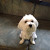 Find Donna Mckee Phone Number, Location, Email, and more on Intelius