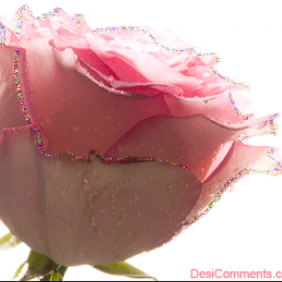 Find Donna Ruth Smith Phone Number, Location, Email, and more on Intelius