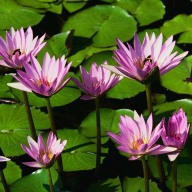 Find Donna Marie Smith Phone Number, Location, Email, and more on Intelius