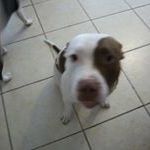 Find Donna JO White Phone Number, Location, Email, and more on Intelius
