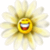 Find Donnell Eugene Blackwell Phone Number, Location, Email, and more on Intelius