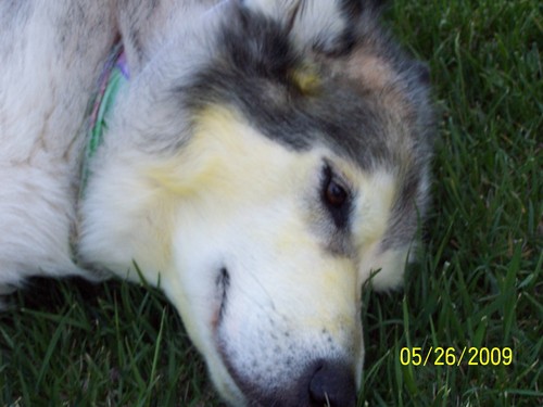 Find Douglas Allen Boyer Phone Number, Location, Email, and more on Intelius