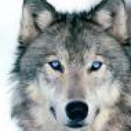 Find Duane R Smith Phone Number, Location, Email, and more on Intelius