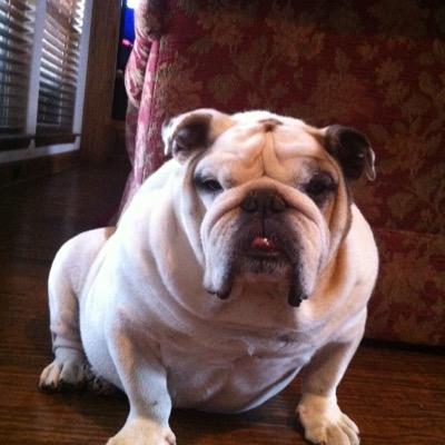Find Earl Charles Wright Phone Number, Location, Email, and more on Intelius