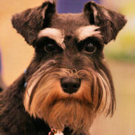 Find Edith Sue Eberhardt Phone Number, Location, Email, and more on Intelius