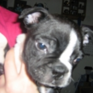 Find Edith E Rodgers Phone Number, Location, Email, and more on Intelius