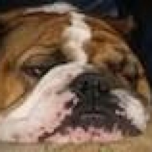Find Edwin Mark Faerman Phone Number, Location, Email, and more on Intelius