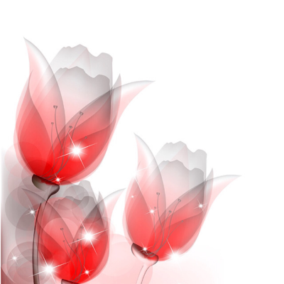 Find Eindra N Chan Phone Number, Location, Email, and more on Intelius