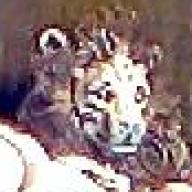 Find Elaine Lyons Phone Number, Location, Email, and more on Intelius