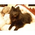 Find Elisa v Vera Phone Number, Location, Email, and more on Intelius
