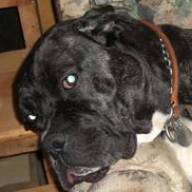 Find Elizabeth Ran Godfrey Phone Number, Location, Email, and more on Intelius