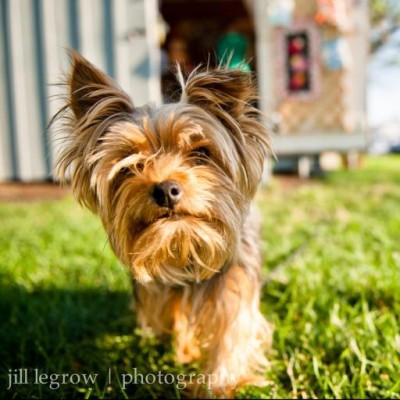 Find Elizabeth A Legrow Phone Number, Location, Email, and more on Intelius