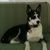 Find Ella Lynn Whelchel Phone Number, Location, Email, and more on Intelius