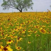 Find Ellen Marie Sloan Phone Number, Location, Email, and more on Intelius