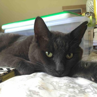 Find Elliot Peter Davis Phone Number, Location, Email, and more on Intelius