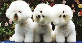 Find Elsie v Benjamin Phone Number, Location, Email, and more on Intelius