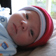 Find Emily Chan Phone Number, Location, Email, and more on Intelius
