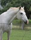 Find Emma J Rider Phone Number, Location, Email, and more on Intelius
