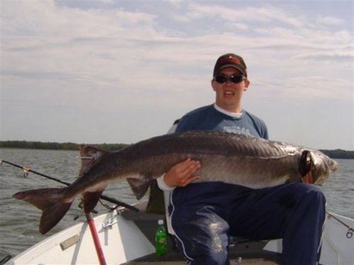 Find Eric M Arndt Phone Number, Location, Email, and more on Intelius