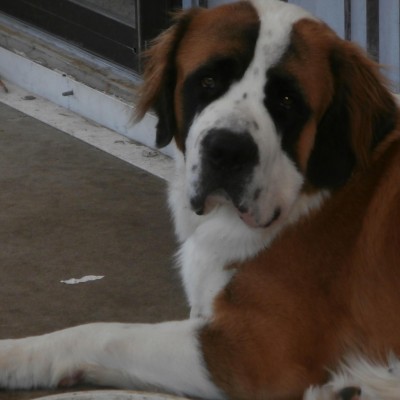 Find Eric Allen Gerson Phone Number, Location, Email, and more on Intelius