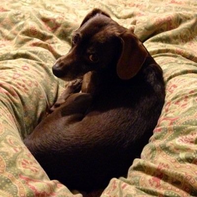 Find Eric M Grimes Phone Number, Location, Email, and more on Intelius