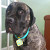 Find Eric James Kothe Phone Number, Location, Email, and more on Intelius
