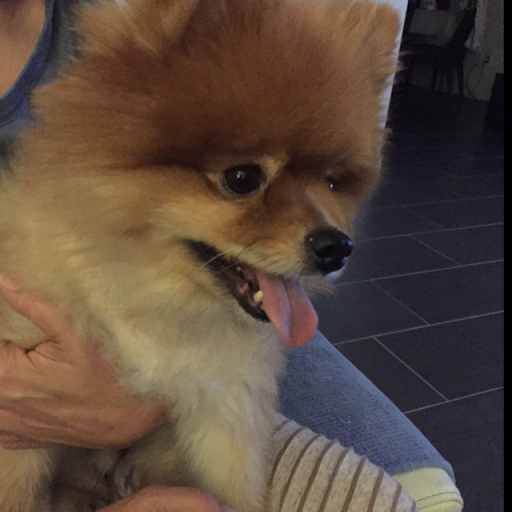 Find Eric J Nicsinger Phone Number, Location, Email, and more on Intelius
