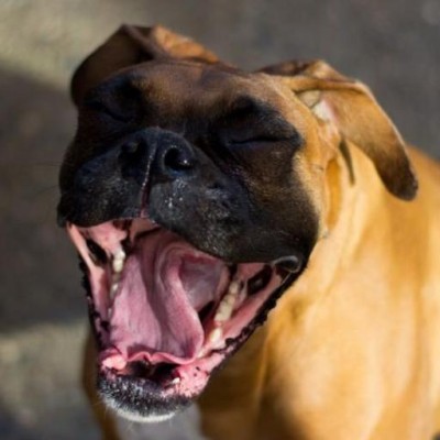Find Eric M Smith Phone Number, Location, Email, and more on Intelius