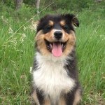 Find Eric R Veith Phone Number, Location, Email, and more on Intelius