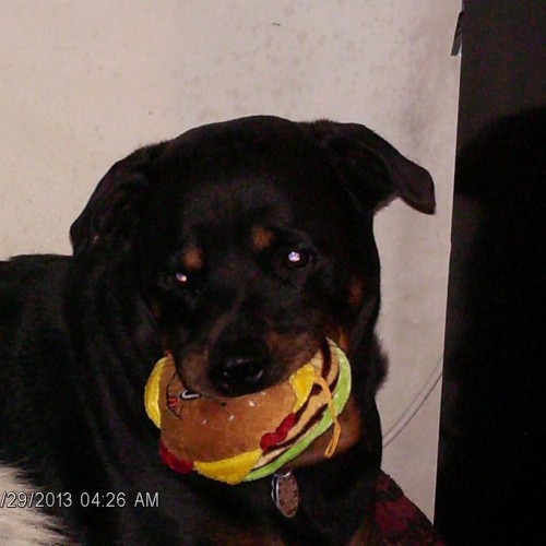 Find Eric John Wright Phone Number, Location, Email, and more on Intelius