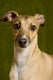 Find Erick C Konczyk Phone Number, Location, Email, and more on Intelius