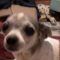 Find Erma Oleen Durst Phone Number, Location, Email, and more on Intelius