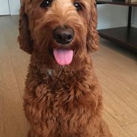 Find Eugene J Hsu Phone Number, Location, Email, and more on Intelius