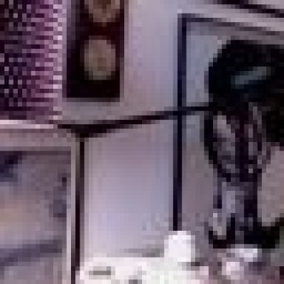 Find Evan Donald Yesberger Phone Number, Location, Email, and more on Intelius