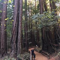 Find Fallon Gore Roberts Phone Number, Location, Email, and more on Intelius