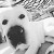 Find Fernando Hernandez Phone Number, Location, Email, and more on Intelius